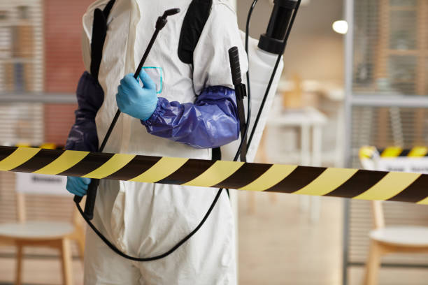 Professional Sewage Cleanup technician working in Pleasanton, NE