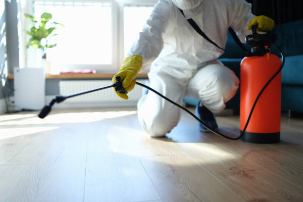 Reliable Sewage Cleanup contractor in Pleasanton, NE by Trauma Clean Pros
